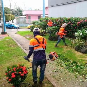 Mantenimiento de áreas verdes